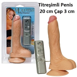  20 cm Titreşimli vibratör