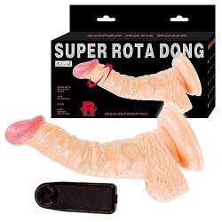  Rota dong vibratör